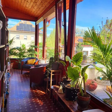 Sashalom Apartman *